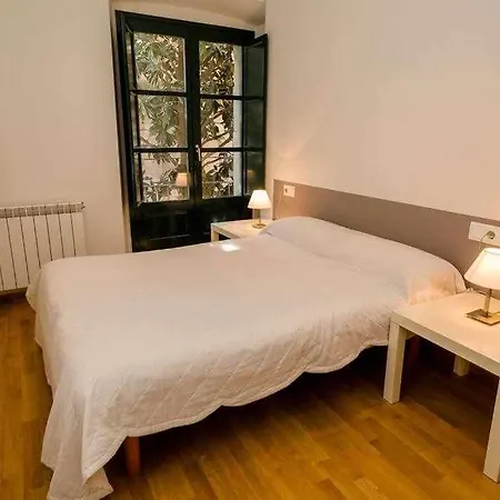 Apartamento A La Sombra De Catedral En Girona *