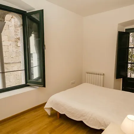 Apartamento Apartamento Sombra De La Catedral Gerona